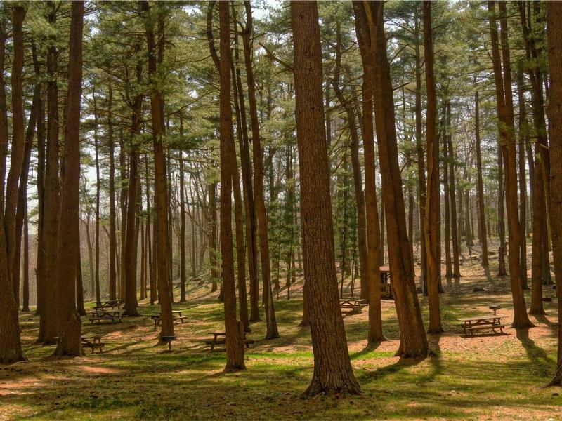 sudoku large numbers screenshot 4