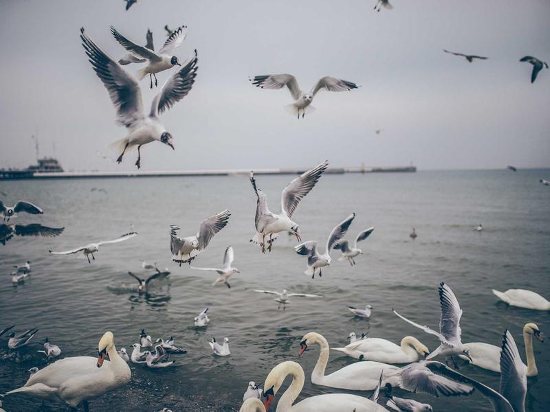 sudoku large numbers screenshot 6